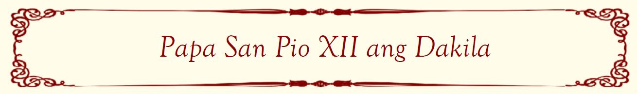 Pope Saint Pius XII Banner FL