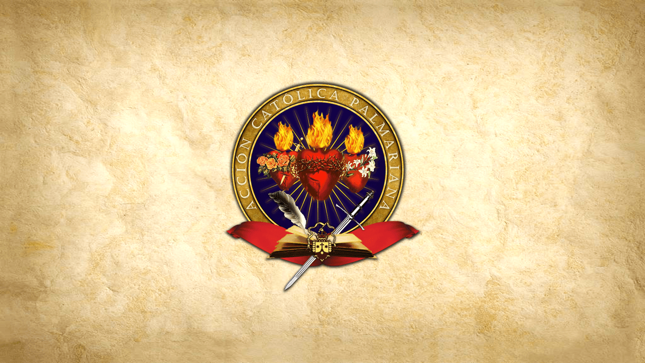 Ika-53 Ulat sa Website ng Banal na Palmaryanong Simbahan