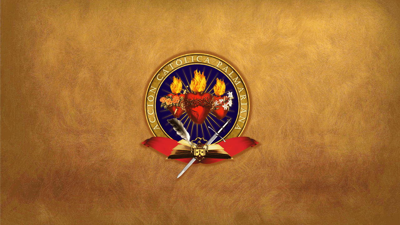 Ika-52 Ulat sa Website ng Banal na Palmaryanong Simbahan